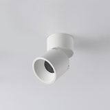 Lara2 Adjustable LED Ceiling Downlight Modern Aluminum Surface Mounted Spotlight