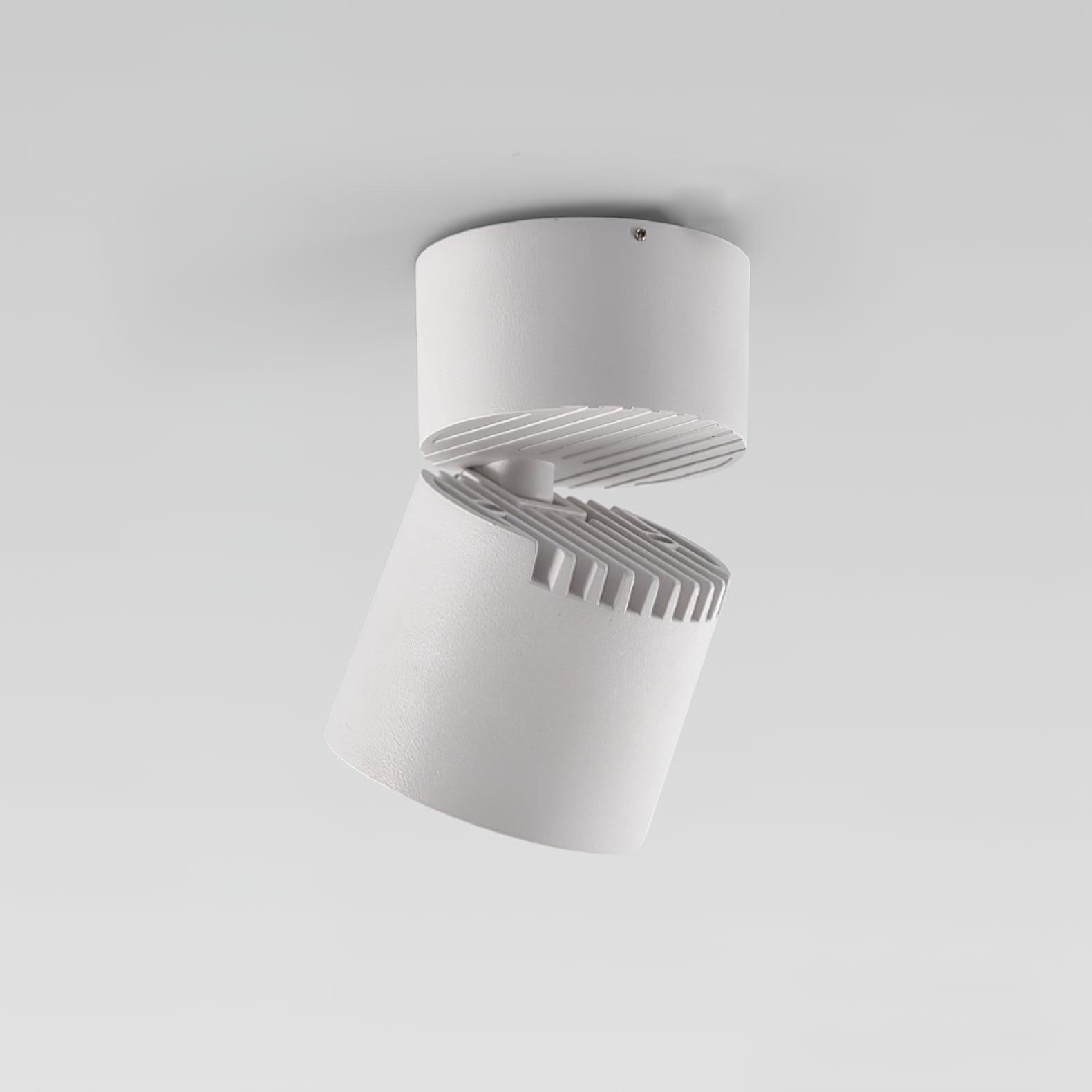 Lara2 Adjustable LED Ceiling Downlight Modern Aluminum Surface Mounted Spotlight