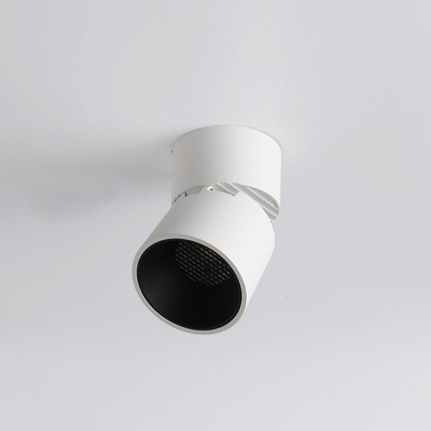 Lara2 Adjustable LED Ceiling Downlight Modern Aluminum Surface Mounted Spotlight