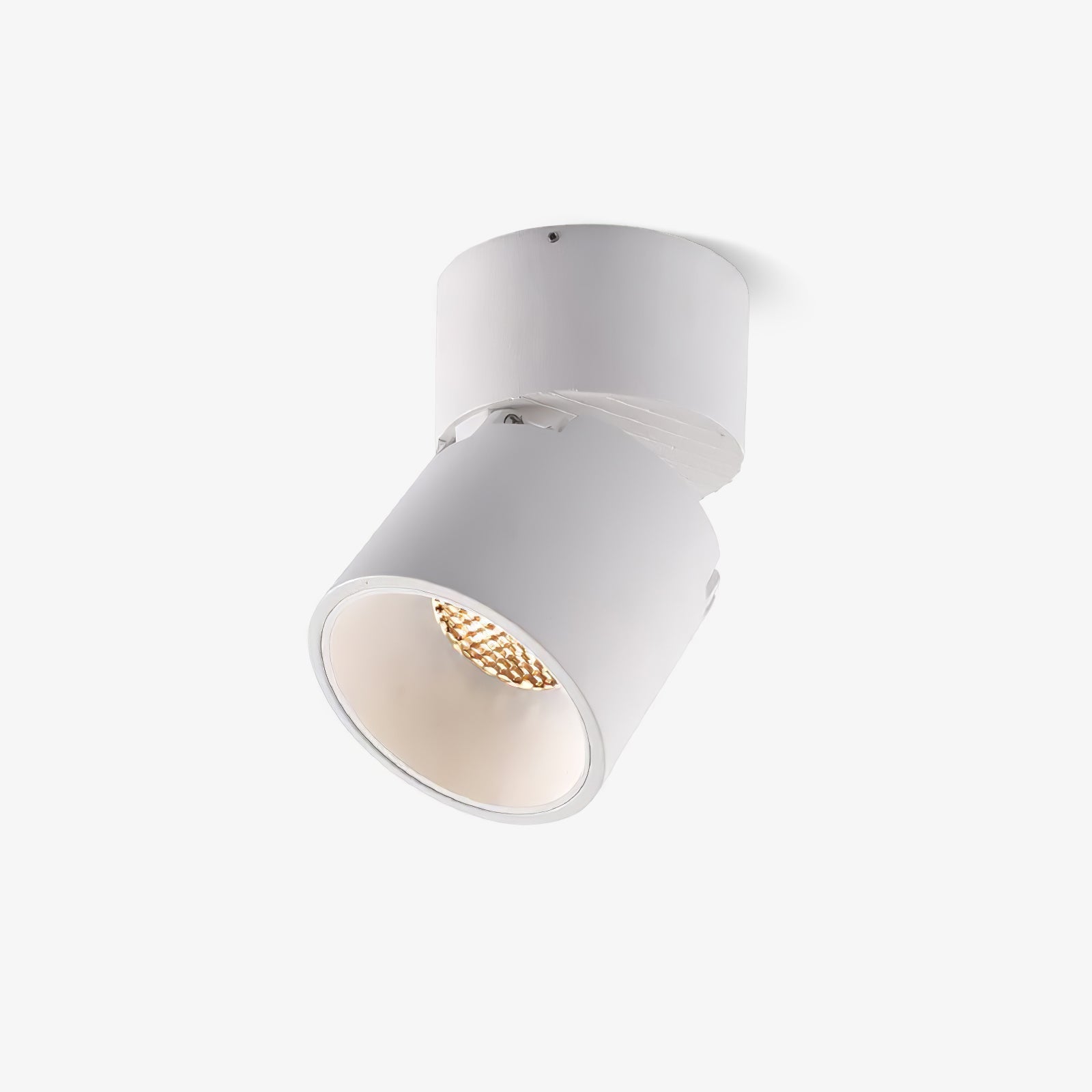 Lara2 Adjustable LED Ceiling Downlight Modern Aluminum Surface Mounted Spotlight
