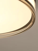 Modern Scandinavian Round LED Ceiling Light with Acrylic Frame and Three Color Modes