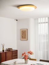 modern-pebble-shape-wood-grain-led-ceiling-light-for-contemporary-home-interiors