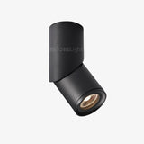 modern-rotating-cylinder-tube-downlight-with-ring-detail-adjustable-led-spot-lighting