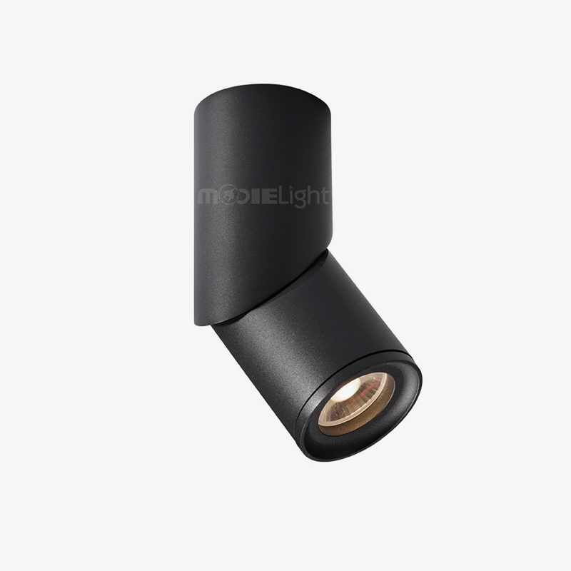 modern-rotating-cylinder-tube-downlight-with-ring-detail-adjustable-led-spot-lighting