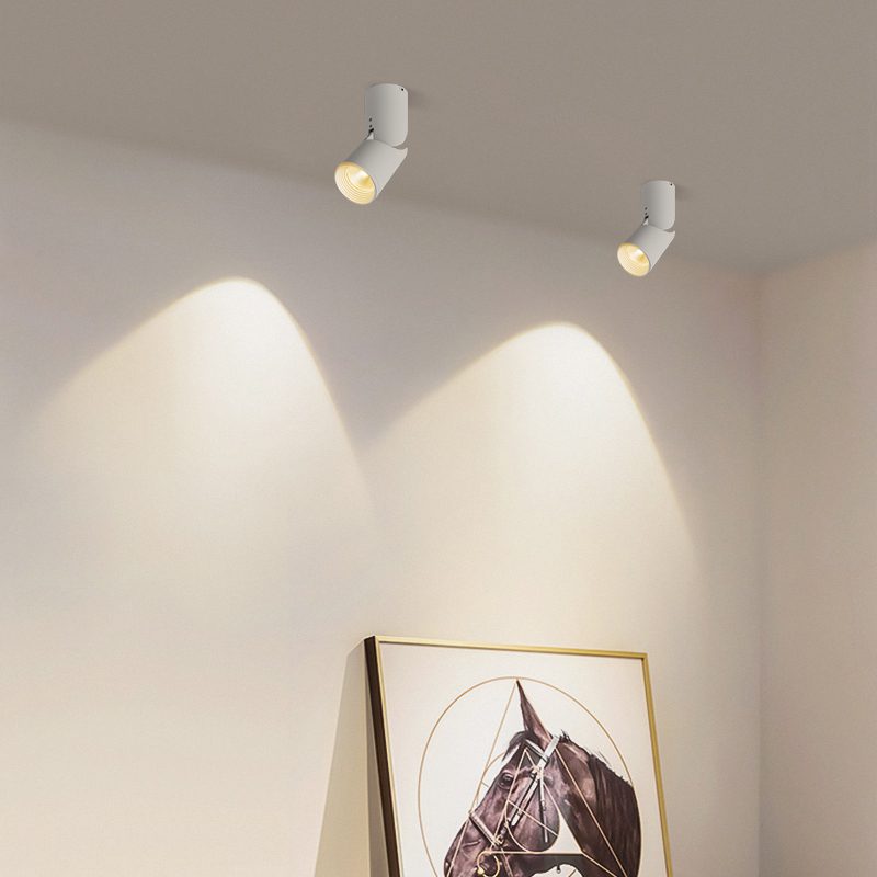 modern-rotating-cylinder-tube-downlight-with-ring-detail-adjustable-led-spot-lighting