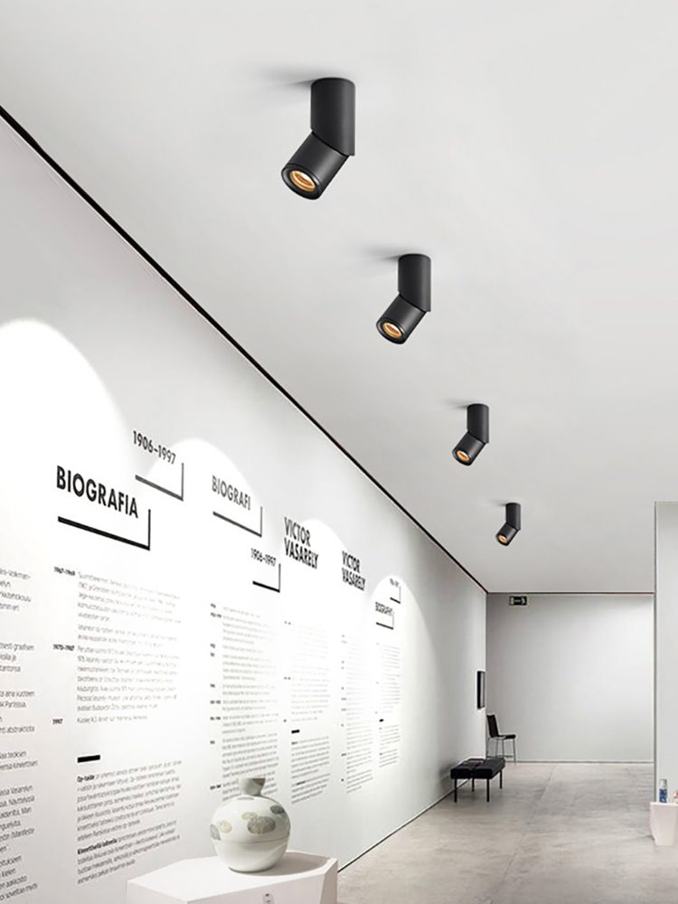 modern-rotating-cylinder-tube-downlight-with-ring-detail-adjustable-led-spot-lighting