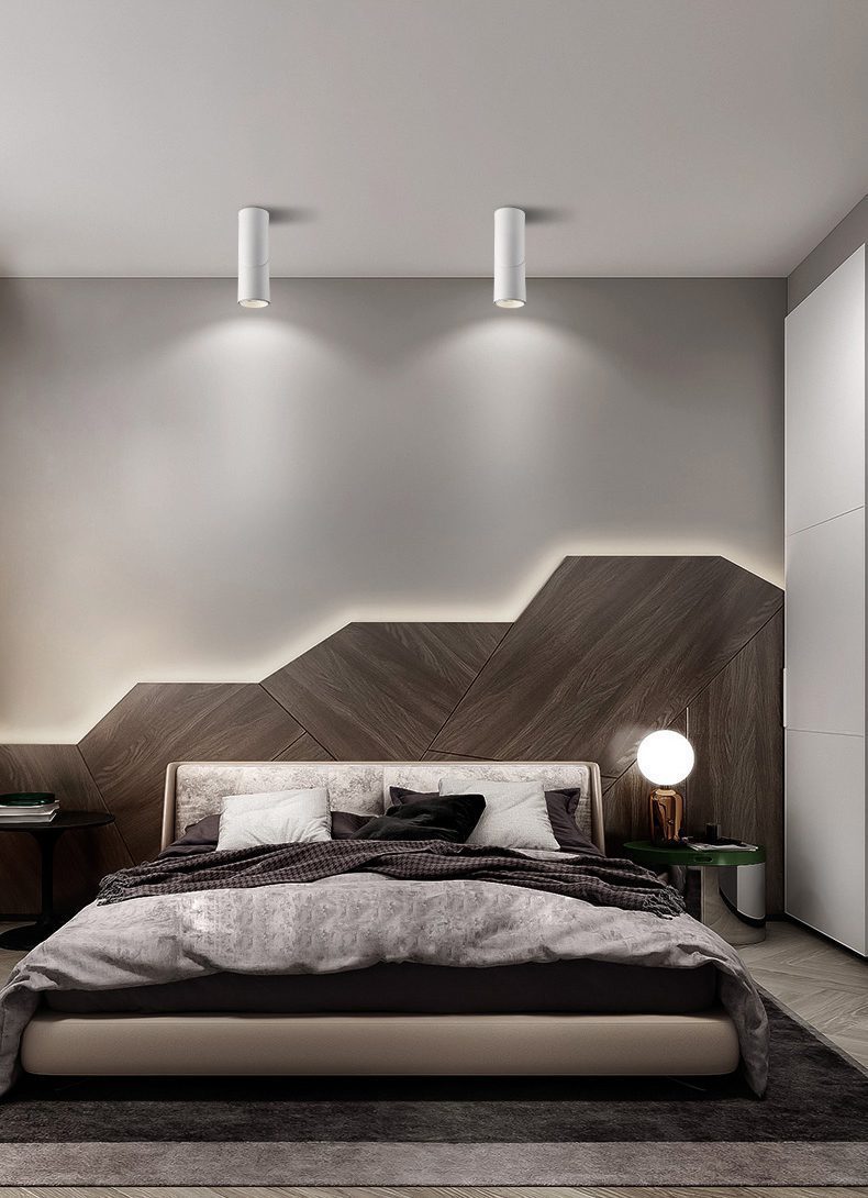 modern-rotating-cylinder-tube-downlight-with-ring-detail-adjustable-led-spot-lighting