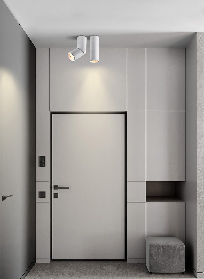modern-rotating-cylinder-tube-downlight-with-ring-detail-adjustable-led-spot-lighting