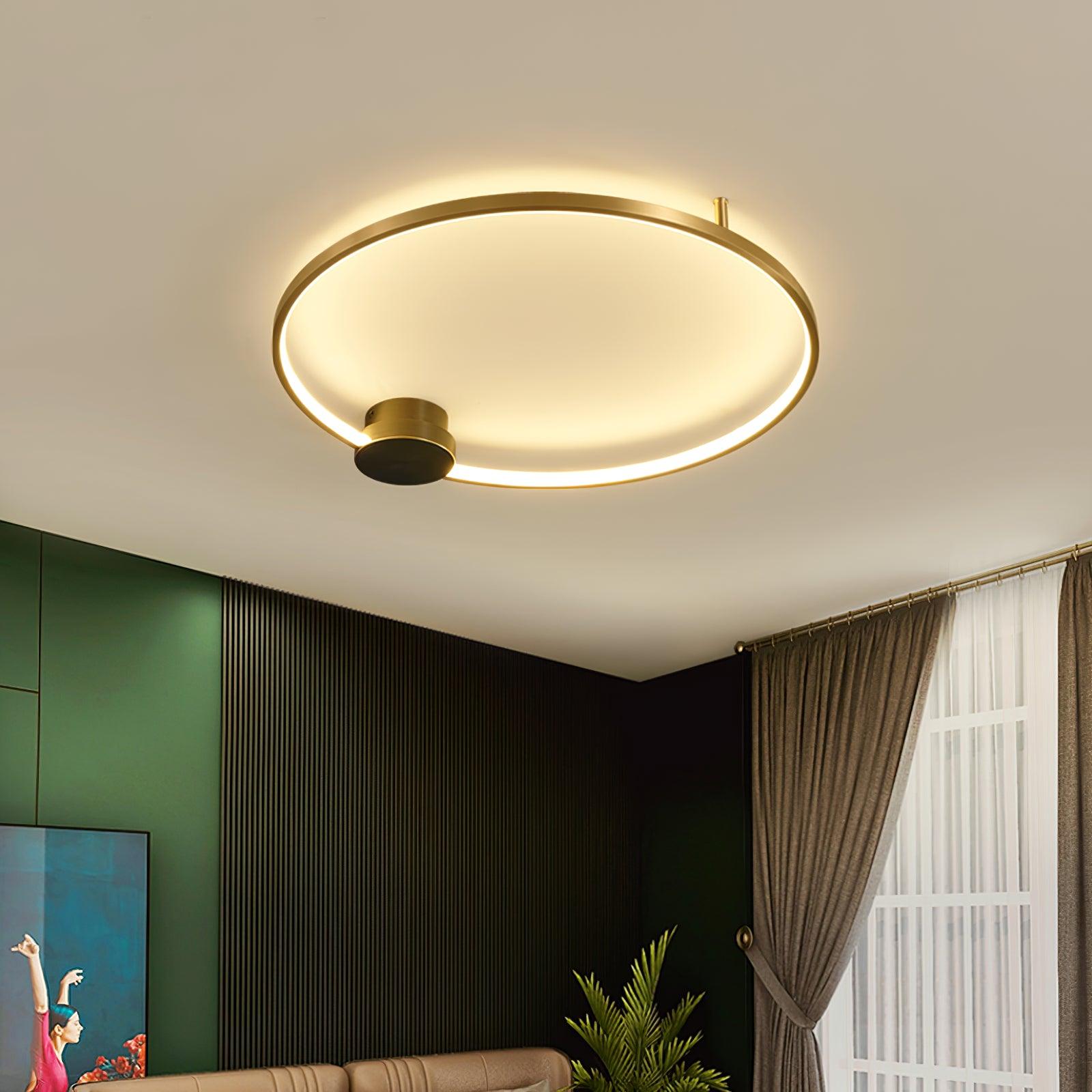 Minimalist Circular LED Loop Ceiling Fixture Modern Geometric Interior Lighting