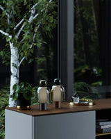 cordless-led-portable-table-lamp-modern-glass-mushroom-night-light-for-bedroom-and-living-room