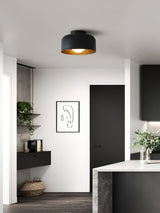 Modern Spherical Glass Globe Flush Mount Ceiling Light with Wood Grain Trim