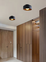 Modern Spherical Glass Globe Flush Mount Ceiling Light with Wood Grain Trim