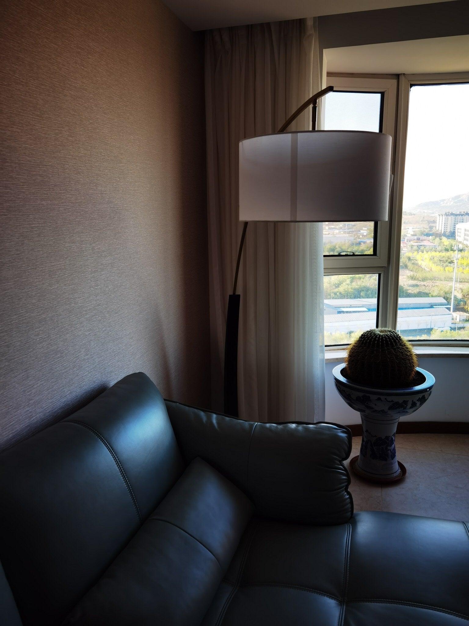 Elegant Arc Floor Lamp Large Curved Standing Light for Sofa and Dining Areas