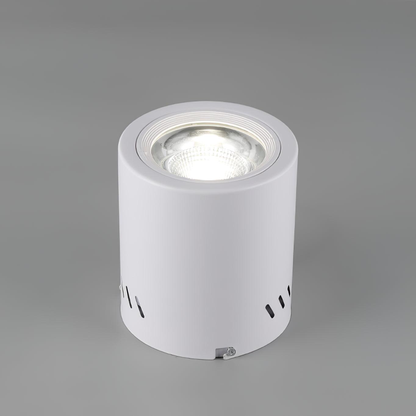 Maxi Rebel Surface Mounted LED Ceiling Spotlight for Modern Interior Lighting
