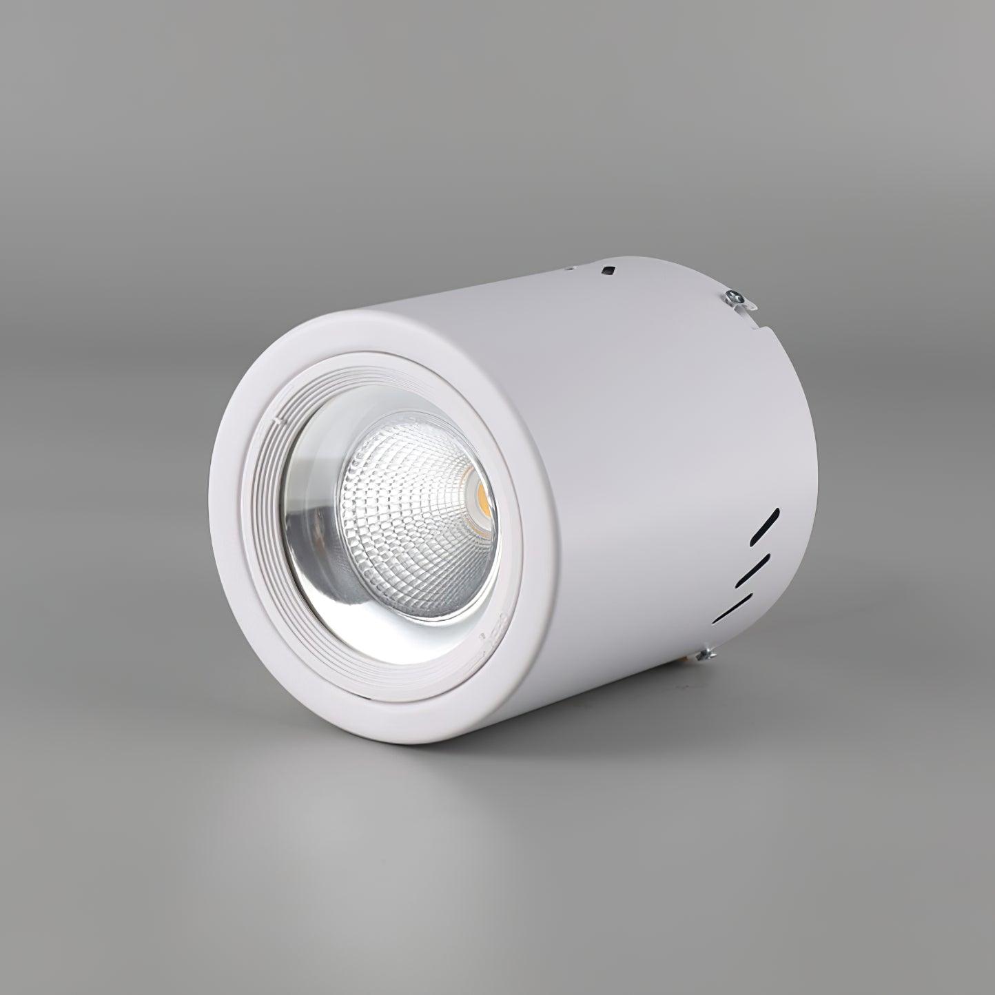 Maxi Rebel Surface Mounted LED Ceiling Spotlight for Modern Interior Lighting