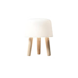 Modern Borosilicate Glass Globe Table Lamp with Solid Wood Tripod Base