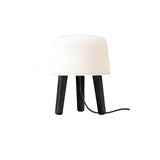 Modern Borosilicate Glass Globe Table Lamp with Solid Wood Tripod Base