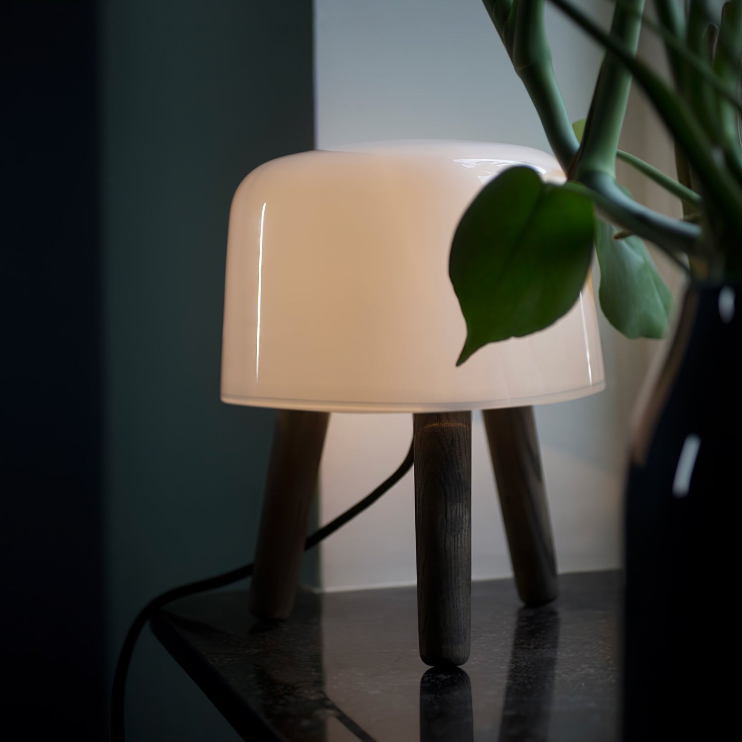 Modern Borosilicate Glass Globe Table Lamp with Solid Wood Tripod Base