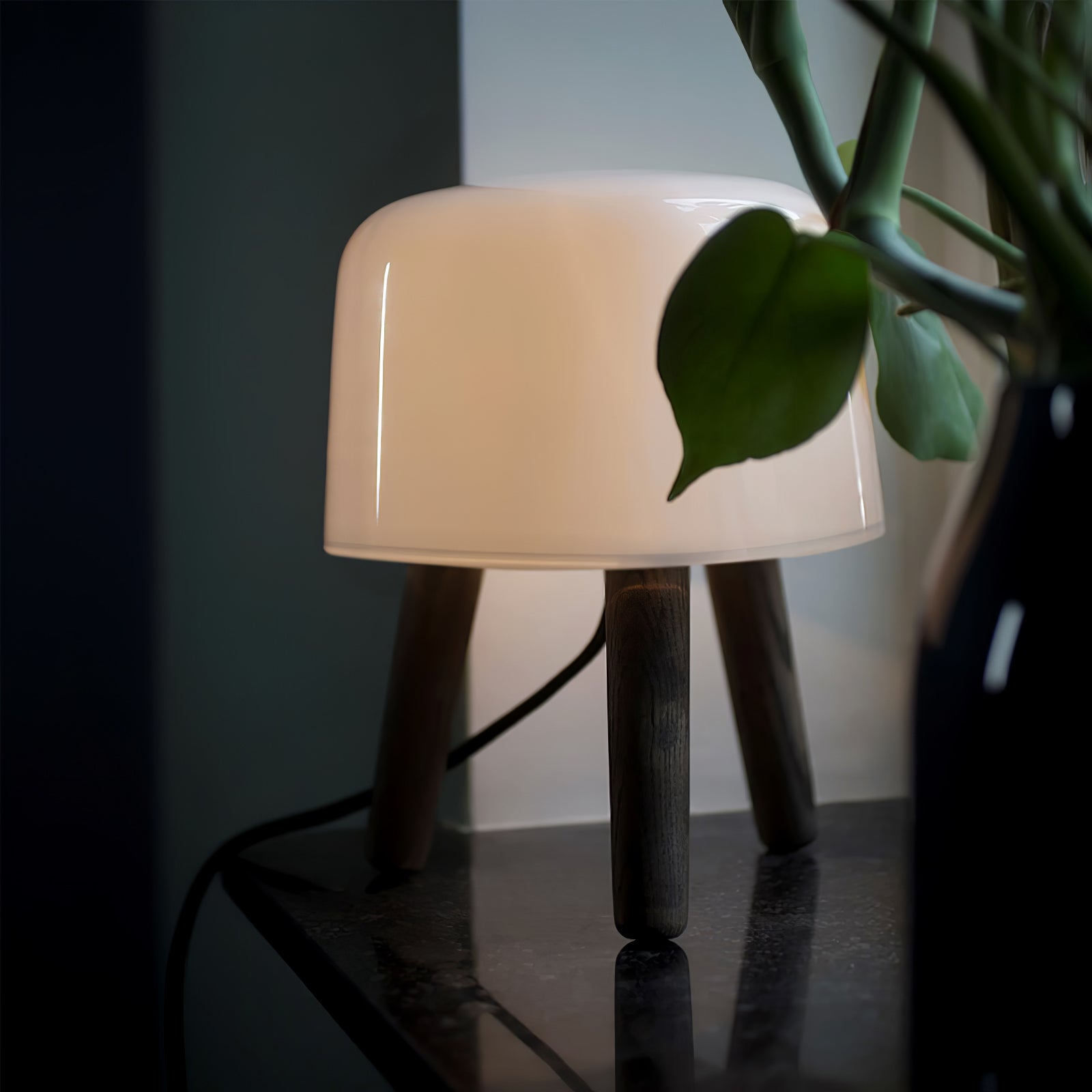 Modern Borosilicate Glass Globe Table Lamp with Solid Wood Tripod Base