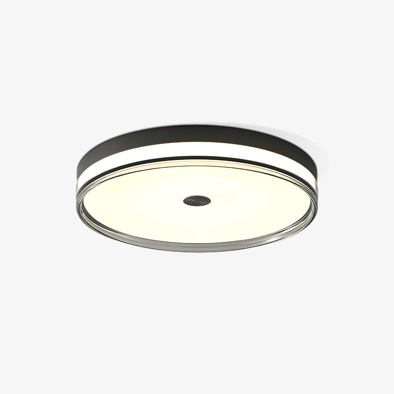 Modern Minimalist Brass and Acrylic Circular LED Flush Mount Ceiling Light