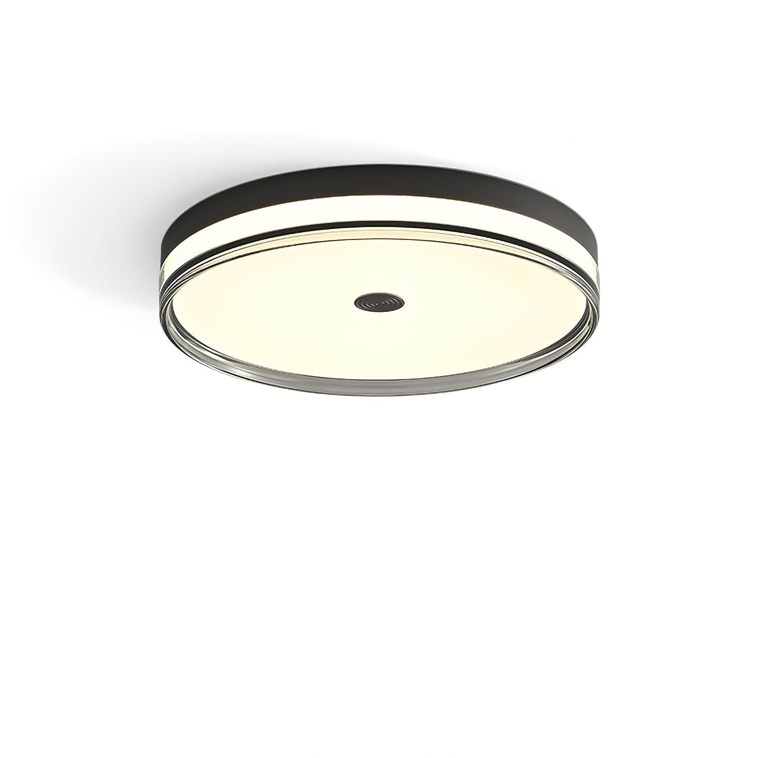 Modern Minimalist Brass and Acrylic Circular LED Flush Mount Ceiling Light