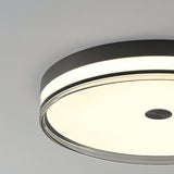 Modern Minimalist Brass and Acrylic Circular LED Flush Mount Ceiling Light
