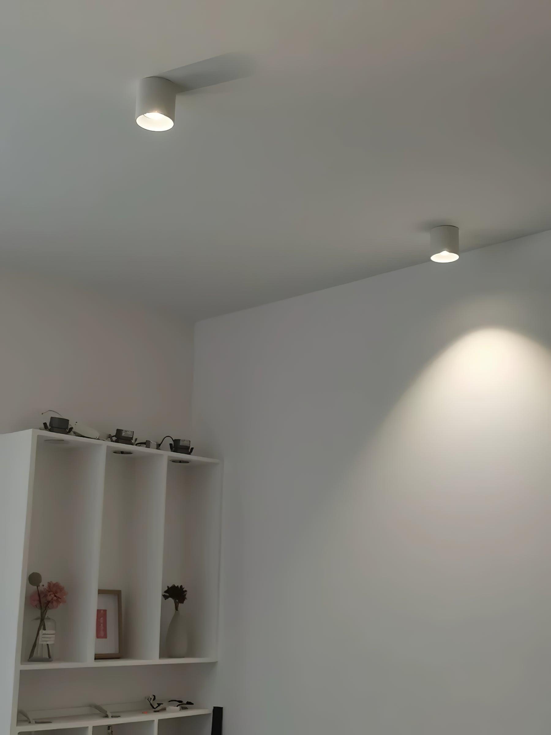 Minimalist Surface Mounted LED Ceiling Light with Aluminum Body and Ridged Accent