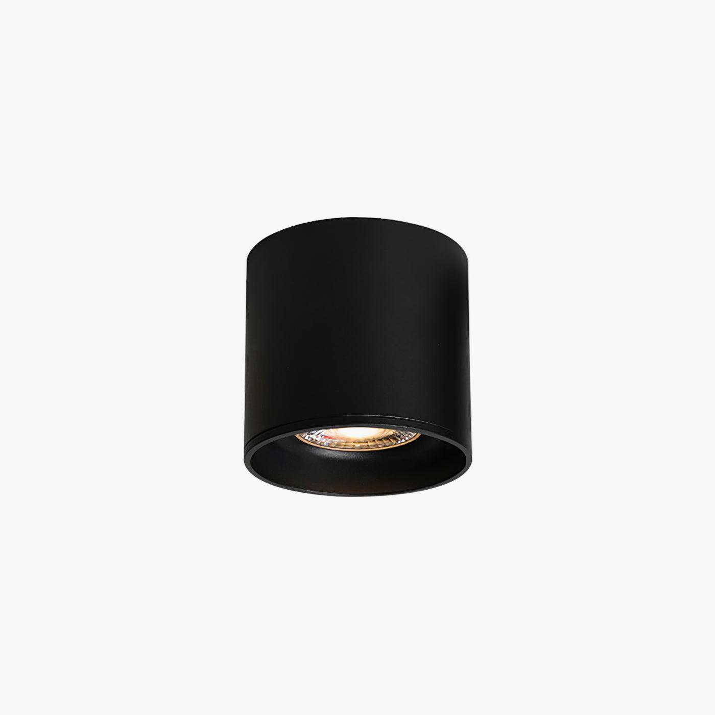 Minimalist Surface Mounted LED Ceiling Light with Aluminum Body and Ridged Accent