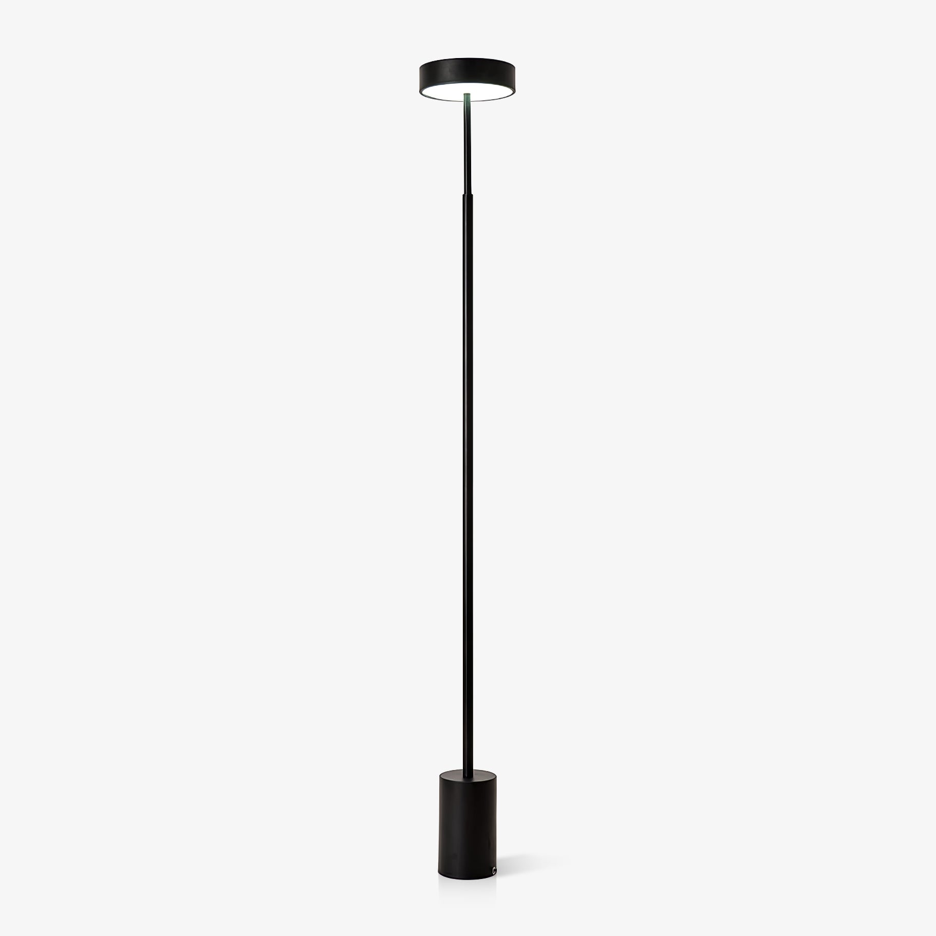 Naya Modern Rotatable LED Floor Lamp Minimalist Accent Standing Light for Reading