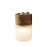 Modern Portable LED Lantern Table Lamp with Natural Wood Handle and USB Charging