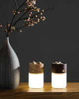 Modern Portable LED Lantern Table Lamp with Natural Wood Handle and USB Charging
