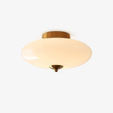 Modern Opal Glass LED Flush Mount Ceiling Lamp for Kitchen and Bathroom