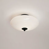Modern Opal Glass LED Flush Mount Ceiling Lamp for Kitchen and Bathroom