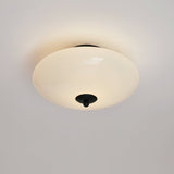 Modern Opal Glass LED Flush Mount Ceiling Lamp for Kitchen and Bathroom