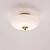 Modern Opal Glass LED Flush Mount Ceiling Lamp for Kitchen and Bathroom