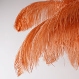 Luxurious Ostrich Feather Floor Lamp with Polished Brass Base Elegant Gold Standing Light for Living Room