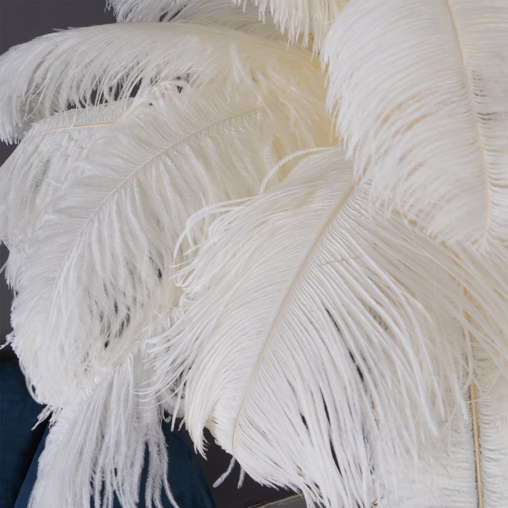 Luxurious Ostrich Feather Floor Lamp with Polished Brass Base Elegant Gold Standing Light for Living Room