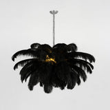 Natural Ostrich Feather Gasolier Chandelier with Polished Brass Frame for Luxury Interiors