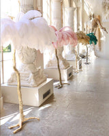 Luxurious Ostrich Feather Floor Lamp with Polished Brass Base Elegant Gold Standing Light for Living Room
