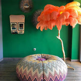 Luxurious Ostrich Feather Floor Lamp with Polished Brass Base Elegant Gold Standing Light for Living Room