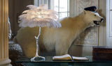 Luxury Ostrich Feather Palm Tree Table Lamp with Brass Base and Portable Design