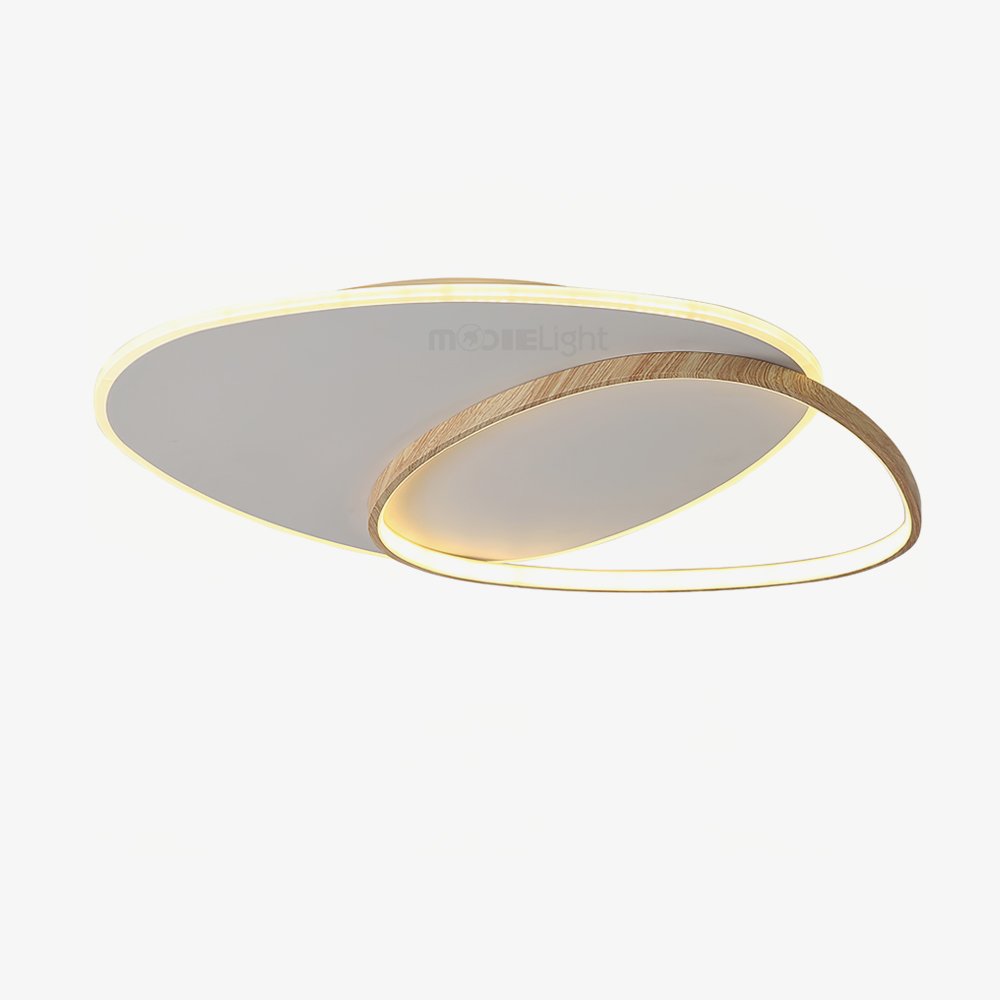 modern-minimalist-oval-led-ceiling-light-fixture-for-living-room-and-bedroom