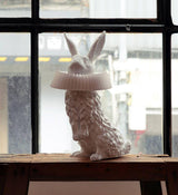 Whimsical Rabbit Animal Figurine Table Lamp with Ruffle Collar and LED Illumination for Modern Interiors