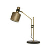Riddle Perforated Metal Desk Lamp with Adjustable 270 Degree Rotating Head