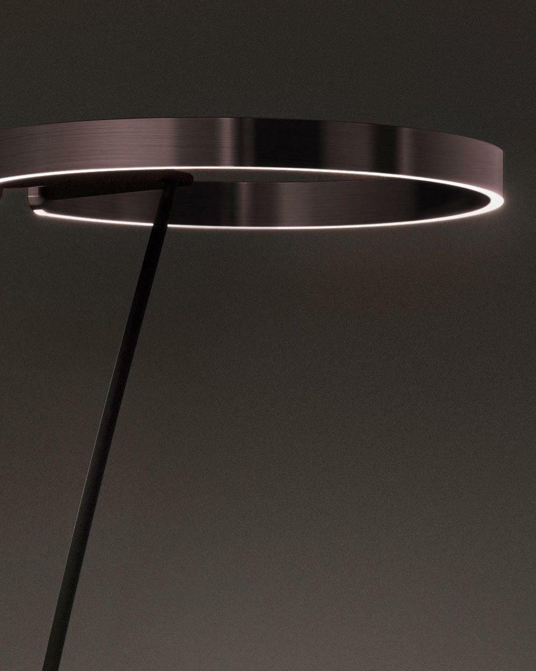 Modern Minimalist Ring Floor Lamp LED Standing Light for Living Room and Bedroom