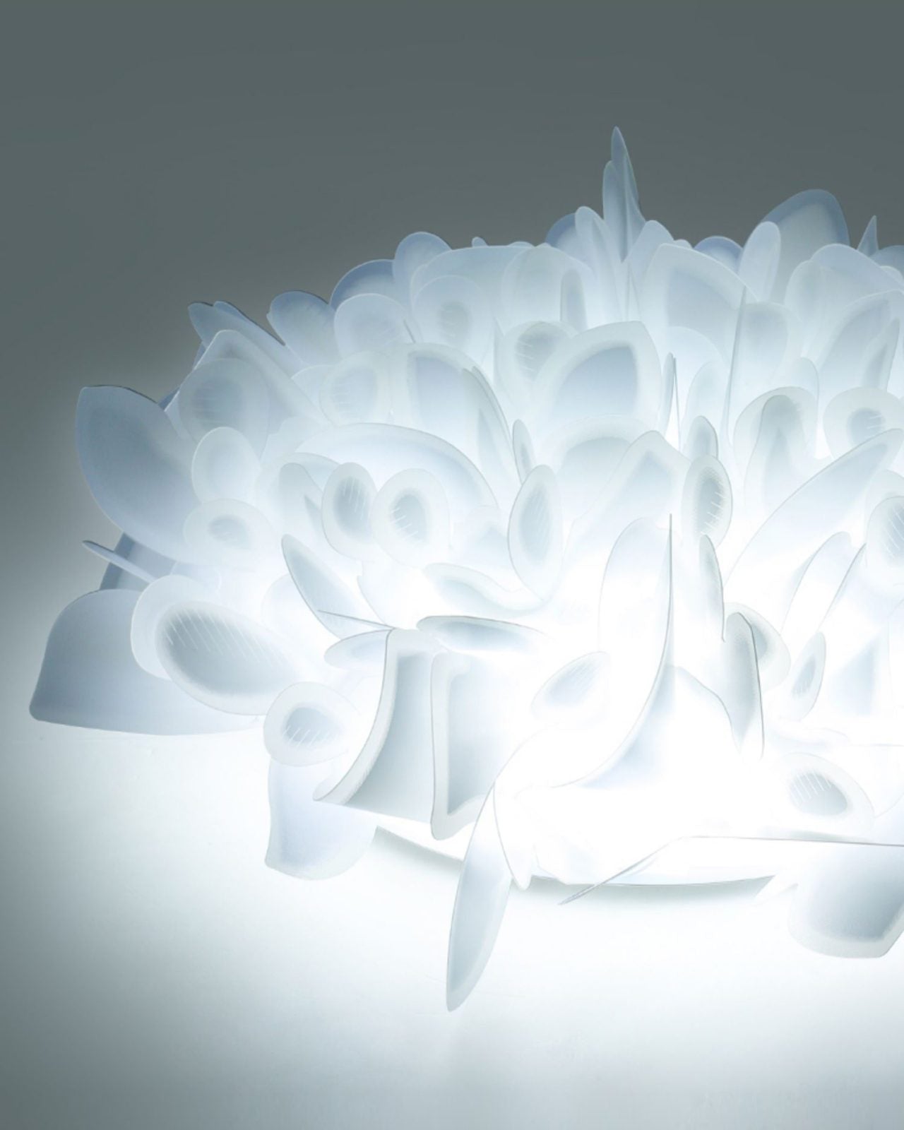 modern-white-petal-led-flush-mount-ceiling-lamp-for-romantic-interior-lighting