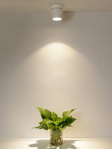Modern Adjustable White LED Ceiling Spotlight for Targeted Interior Illumination