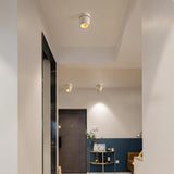 Modern Adjustable White LED Ceiling Spotlight for Targeted Interior Illumination