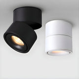 Modern Rotatable LED Spotlight Ceiling Fixture for Adjustable Indoor Accent Lighting