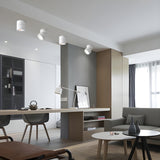 Modern Rotatable LED Spotlight Ceiling Fixture for Adjustable Indoor Accent Lighting